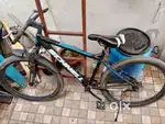 Schnell bicycle, one year old