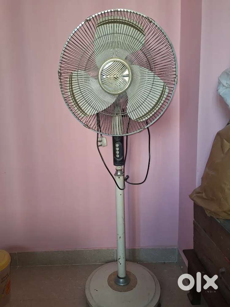 Orient stand fan