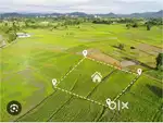 Sri Ram vatika jamul dhor (plot and farm house)