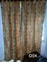 Want to sale curtains