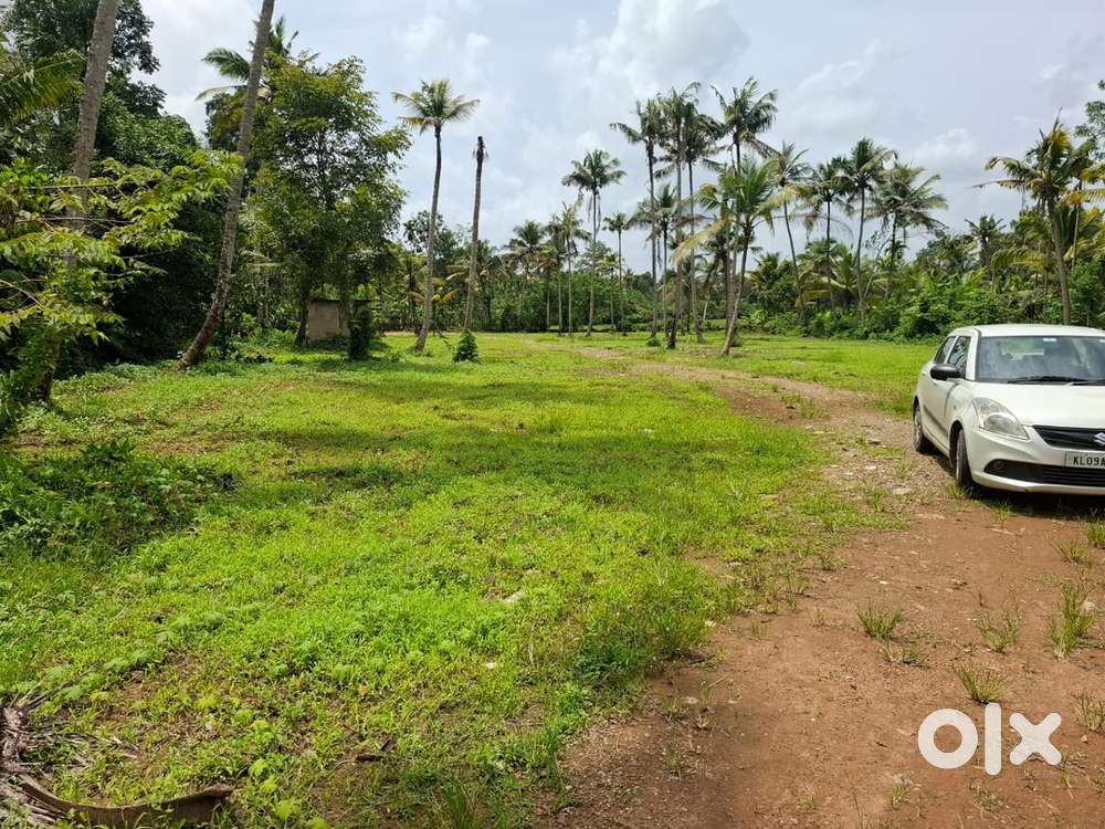 1.25 acre land for sale near Athani, Chengamanad, Kurumasseri