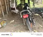 All documents hai