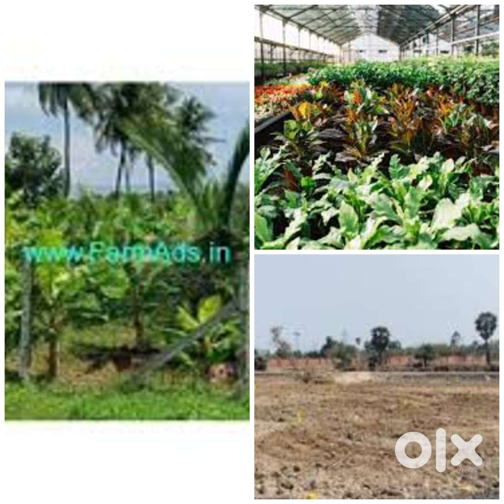 കൃഷി പ്ലാന്റ് നഴ്സറി ചെയ്യാനും  സ്ഥലം വാടയ്ക്ക്
