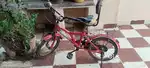 Brands new look 2 cycle