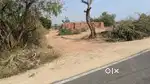 19.34 Bigha Plot for sale