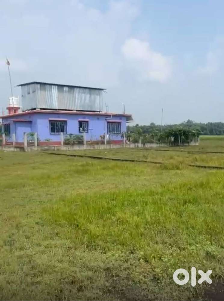 Plot for Sale in Naxalbari, Near Naxalbari College, 7.3 Kathas