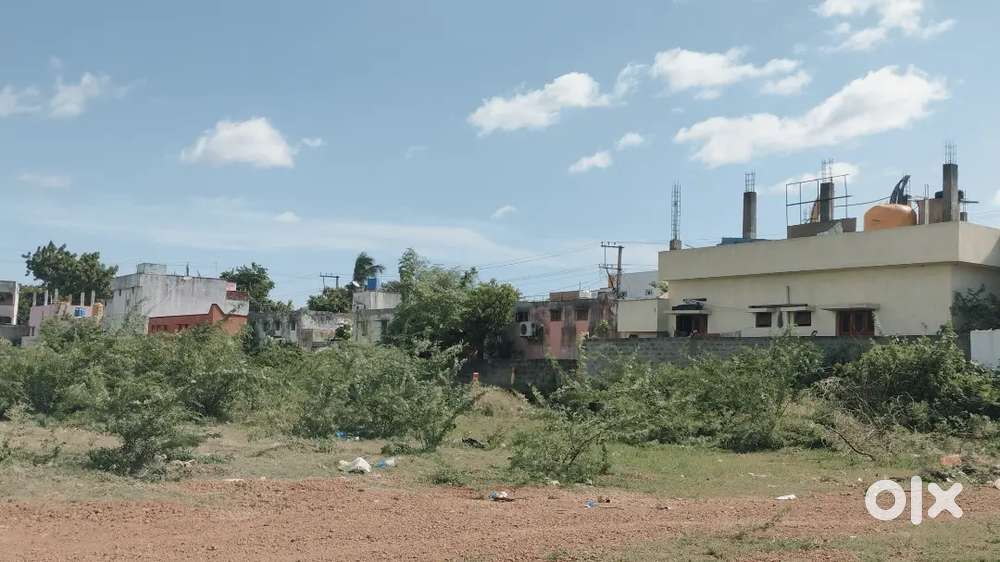 AYYAPAGUDI VIKRAM NAGAR 16.5 ANK SITE PER ANK COAT2.3 LAKHS