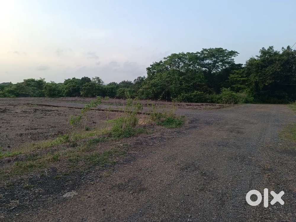 N/A plot for sale# for investment#best property# negotiable.