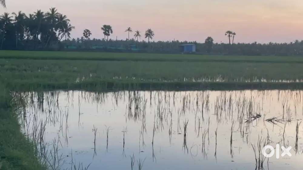 20 acers Agriculture land,  vempa Village