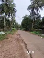 20 സെൻറ് പകുതിയും കൊടുക്കും