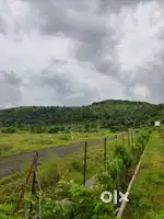 25acre land, 225plots, 1000sqft,min 2000sqft ,cost 7lakh per sqft