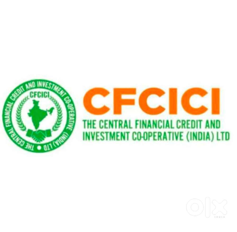 Collection Executive