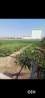 Kheti ni jamin bhadresar ma bhare apavani che