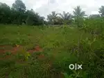 Kallamblam manampur  highway road near  police station