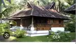 House and 10 cent plot for sale(5.5 lakh)