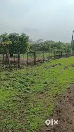 Farmhouse land