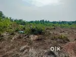 2.50Acre Agricultural Land For sale at Mulki .