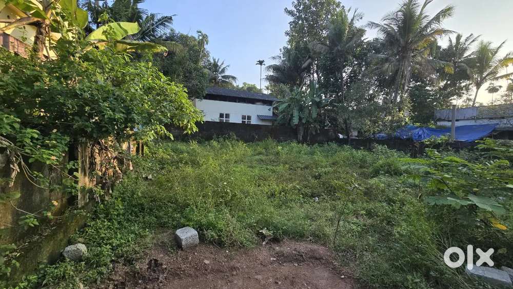 Aluva kadungalloor thiruvaaloor 7 cent house plot for sale