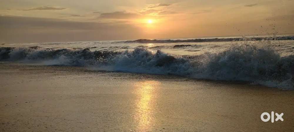 1bhk good looking home