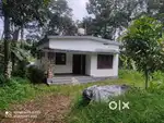 15 Cent Plot with House for Sale – Meenangadi, Wayanad