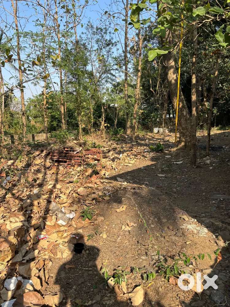 House Plot For Sale
