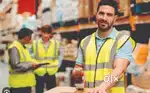 hiring for picker helper in Tatisilwai