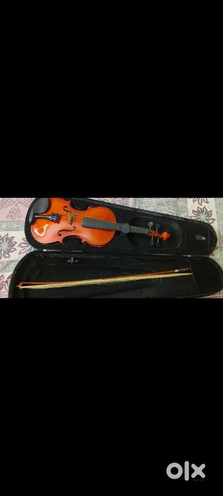 Brown violin