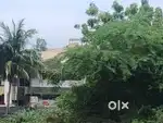 Bogapuram, beside Raj Kamal Enterprises,Vignans world one school,Eluru