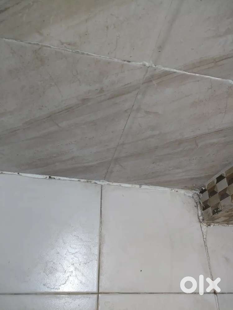 1 BHK with hall bedroom attached washroom good for small family