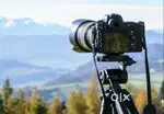 Pickup Boy Needed for Used Camera Collection