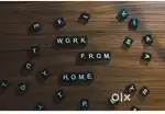 Work from home job