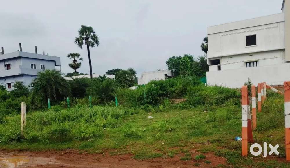 101 గజాలు(sq.yards) plot for Sale