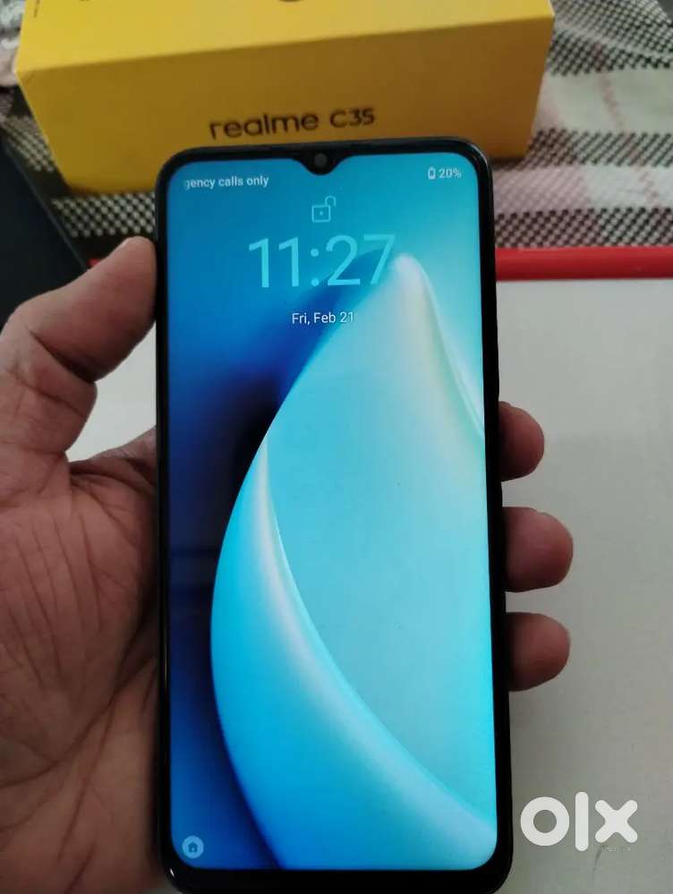 C35 , 1.5 years old