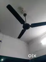 Ceiling fan