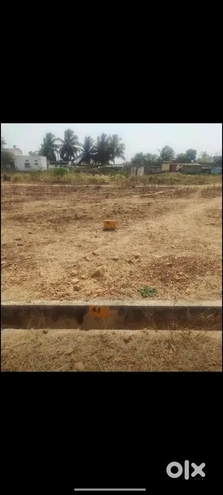 Druda approved site ready for registration