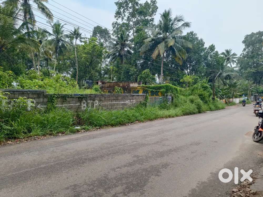 Pallichal Vizhijam Main road side 67 cent commercial plot 15 Lakhscent