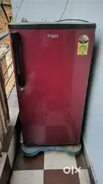 Frige be una hai