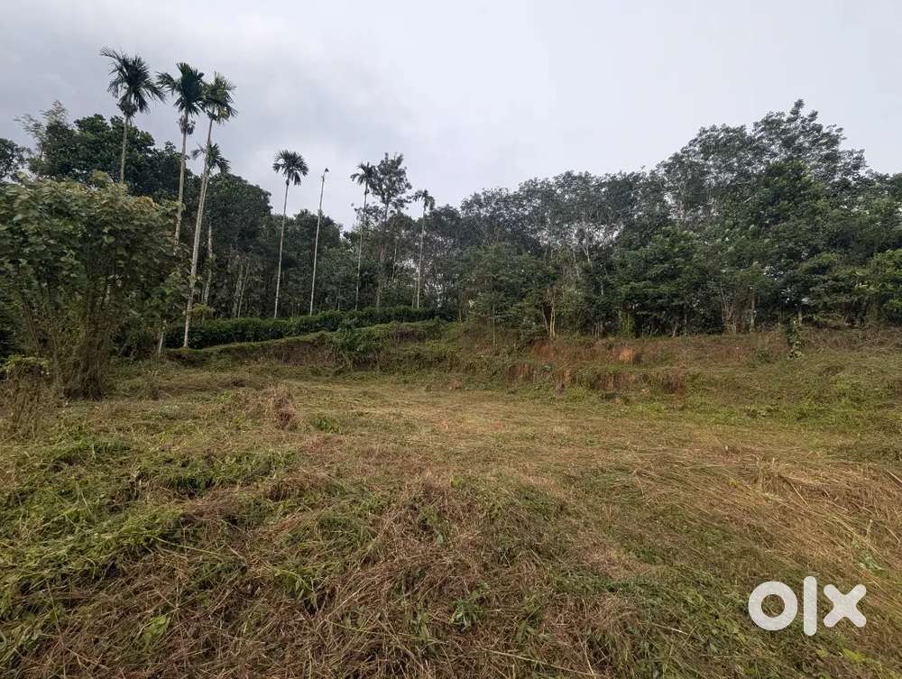 25 cent Plot Near Sulthan Bathery