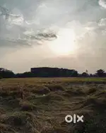 4.60 Acre Farm Land