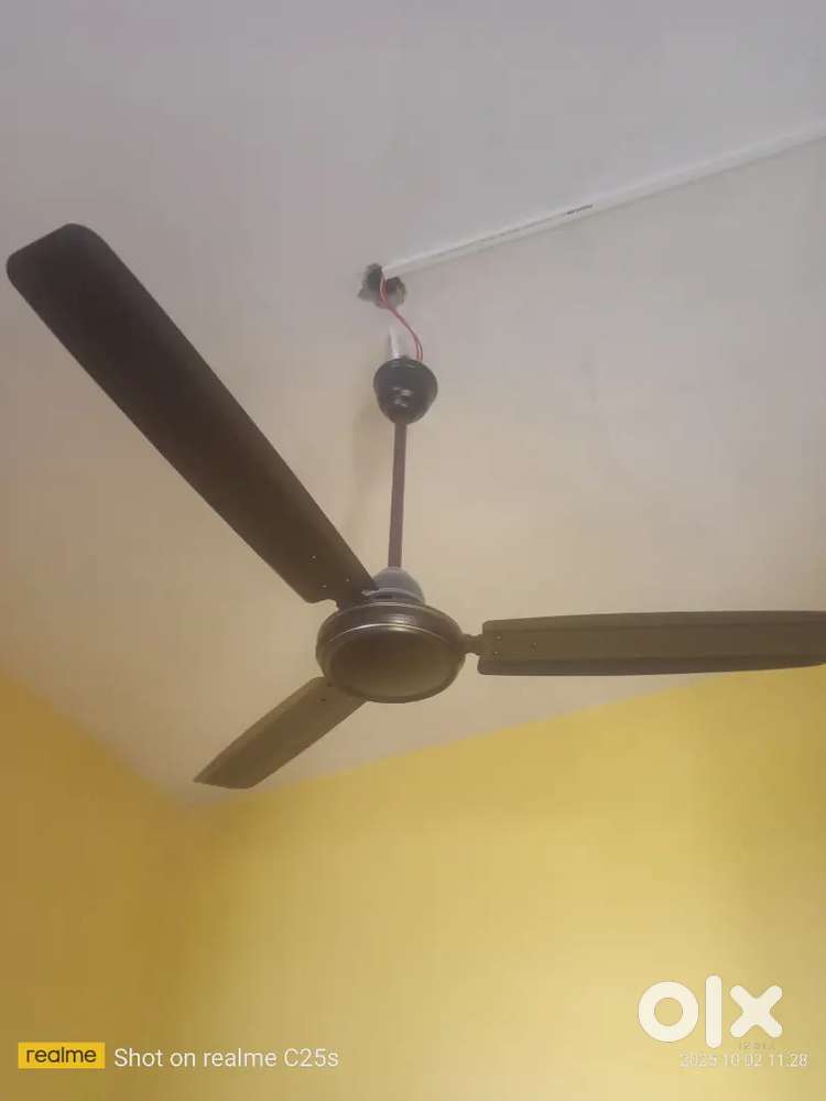 Fan urgent sale