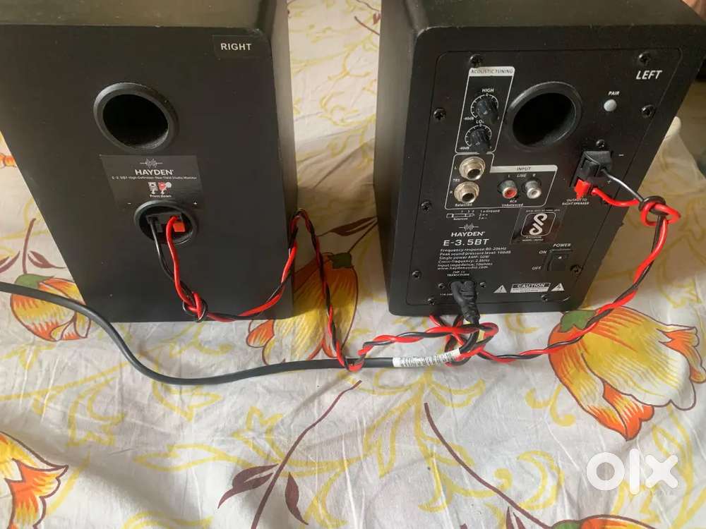 Haden Studio Monitor