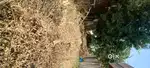 224 sq. Yards land for sale