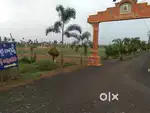 Residential Land / Plots 240 Sq.ft. for Sale in Palangi, Tanuku, West