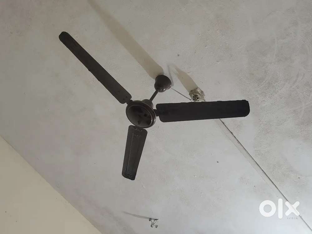 Ceiling fan