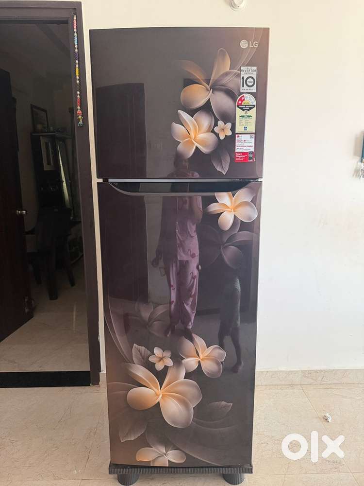Double Door LG Refrigerator for Sale 2021 Model