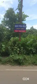 Riyati Juth, Registered plot,