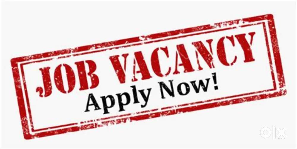 JOB VACANCY IN  MNC NETWORK COMPANY,