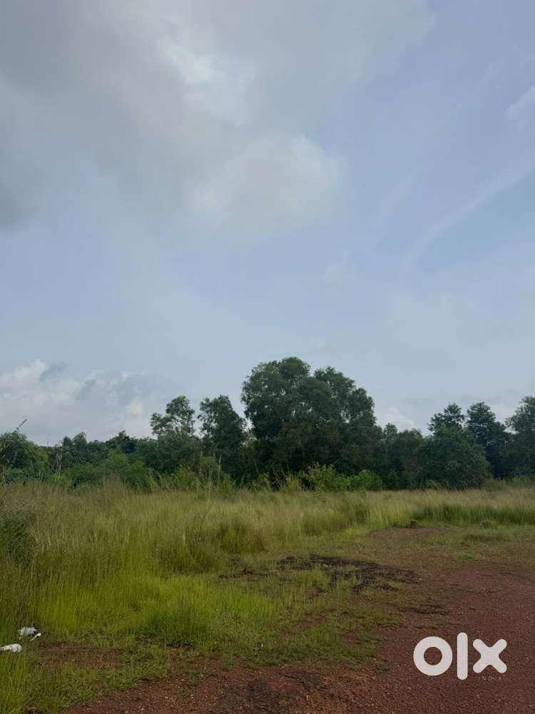 Land near muttam for sale