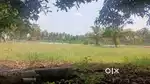 Pollachi To 4 Kms Gated Farm Community Farm Land