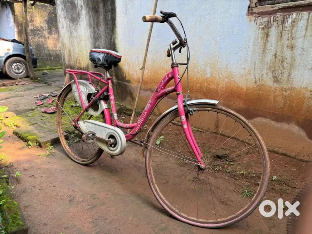 Ladies and gents cycle
